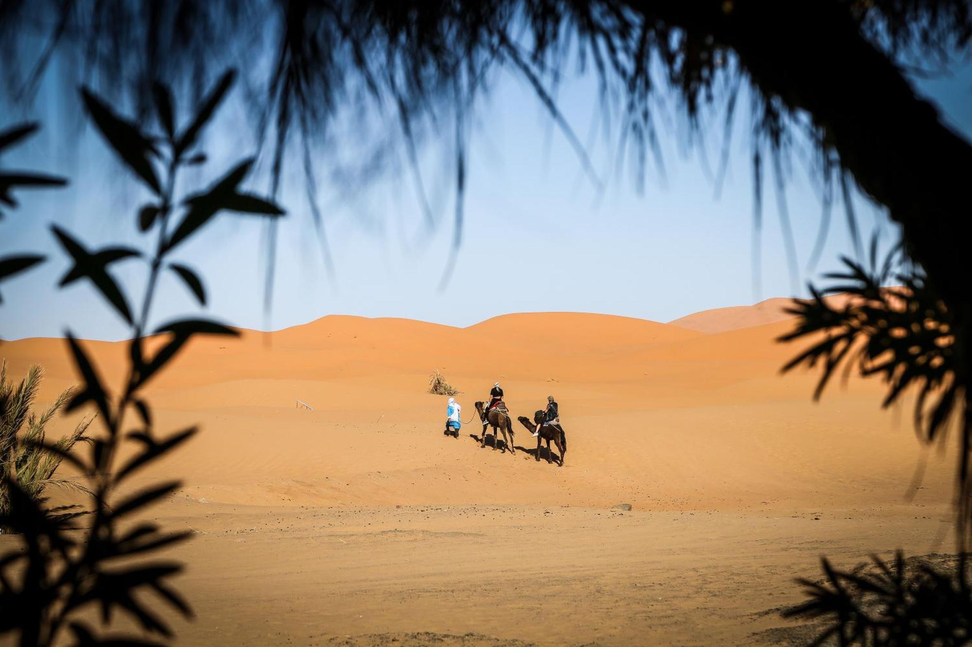 Dune House 梅尔祖卡 外观 照片
